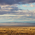 Across The Plain