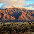 Manzano Mountains 1