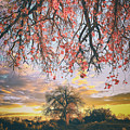 Trees of La Ladera Rd